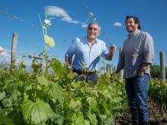 De caños de hormigón a la mejor bodega del país: cómo se hacen los mejores vinos de Argentina