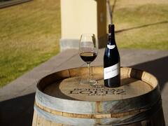 Bodegas piden fondos para compensar las pérdidas por las heladas