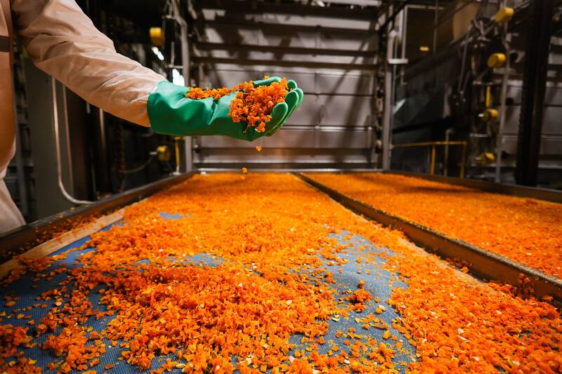 En la planta de Mendoza los vegetales se deshidratan para luego transportarse a Buenos Aires