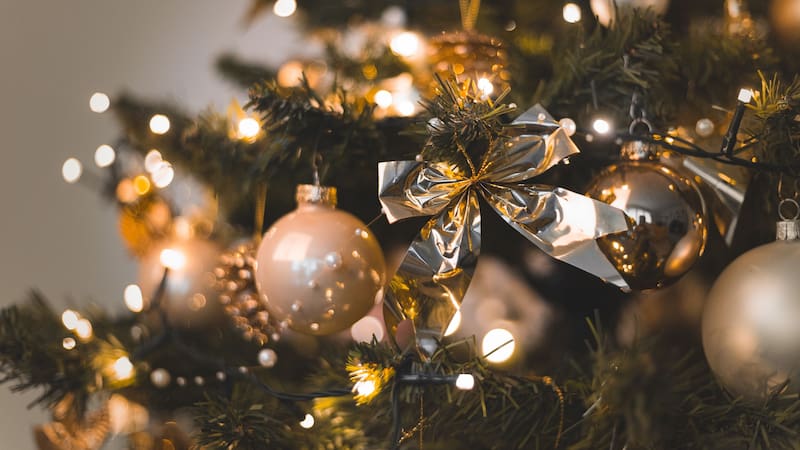 <div class="migrated-promo-image__description"><div class="migrated-promo-image__source">Fuente: Freepik</div></div>