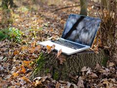 ¿Quiere ser amigable con el planeta? 5 razones para tener productos ecoamigables en el hogar