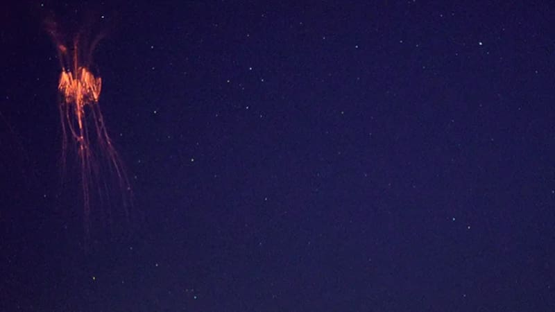 <div class="migrated-promo-image__description"><div class="migrated-promo-image__source">Fuente: NASA</div></div>