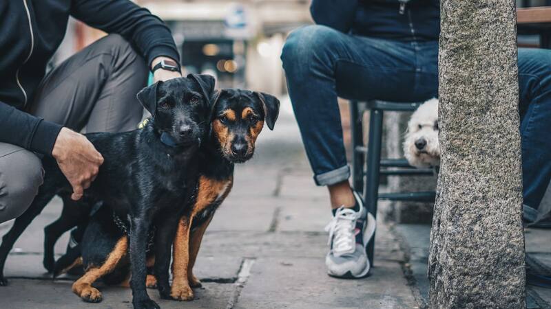 <div class="migrated-promo-image__description"><div class="migrated-promo-image__source">Fuente: Unsplash</div></div>