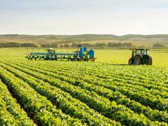 Pesimismo del campo: la mayoría cree que estará peor en 2021