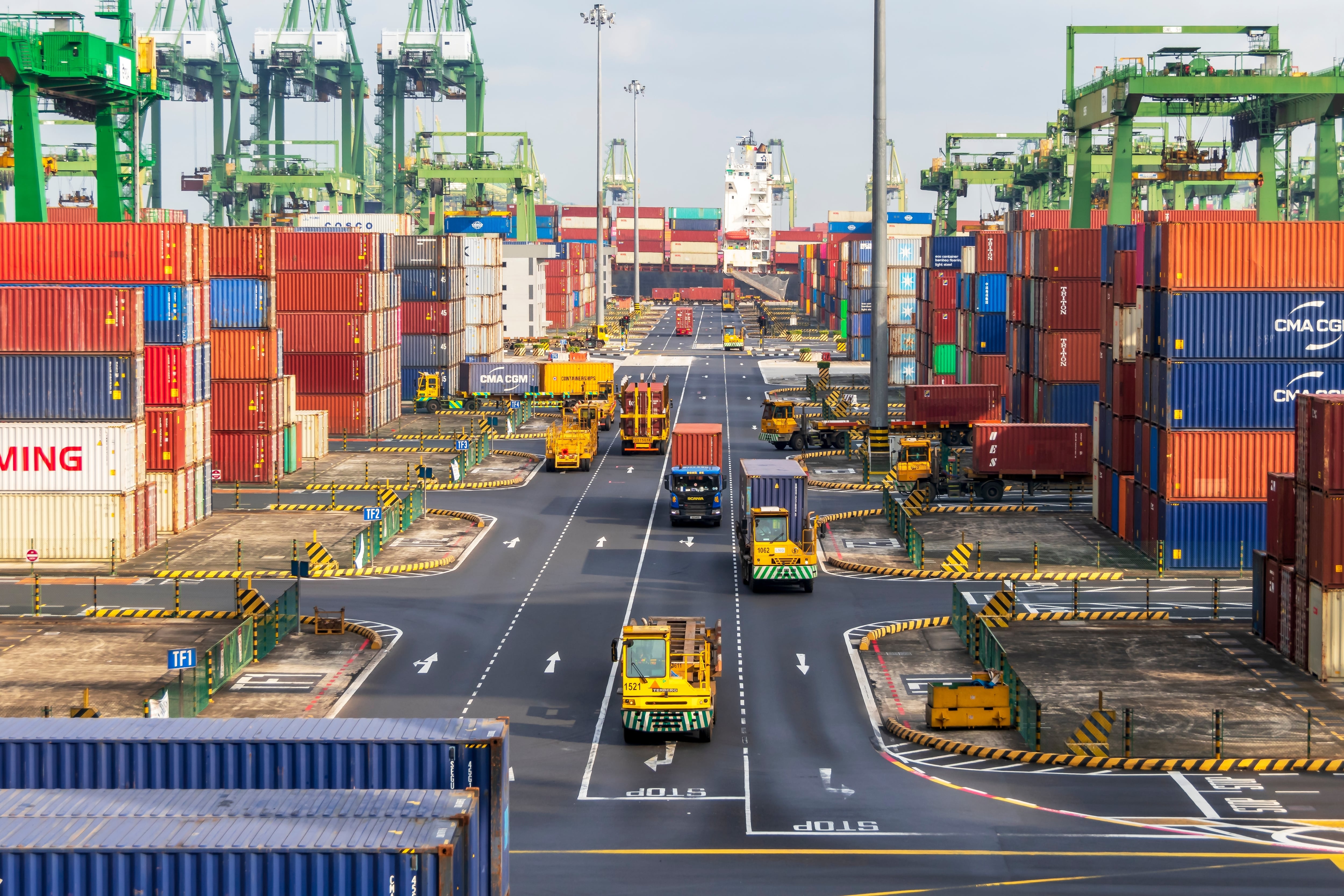 Después de China, los cinco nuevos mercados asiáticos para las exportaciones argentinas