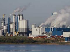 Botnia: un informe confirma contaminación en los ríos Uruguay y Gualeguaychú