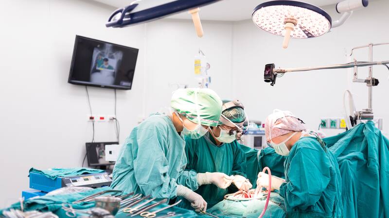 <div class="migrated-promo-image__description"><div class="migrated-promo-image__source">Fuente: Shutterstock</div></div>