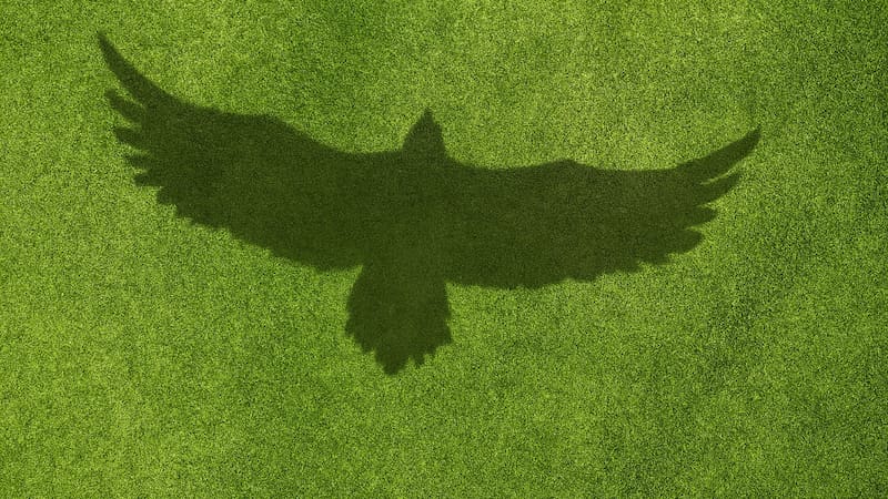 <div class="migrated-promo-image__description"><div class="migrated-promo-image__source">Fuente: Shutterstock</div></div>