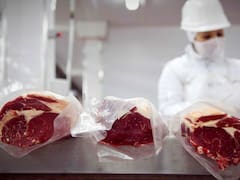 Nuevo cepo a la carne y escándalo: un funcionario se equivocó de chat y reveló que Máximo levantó el pulgar