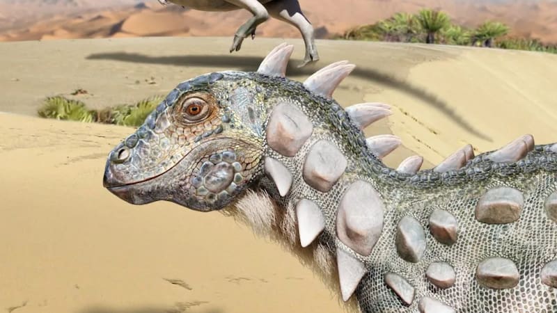 El nuevo dinosaurio argentino fue encontrado en Río Negro. (Fuente: Mauricio Alvarez).