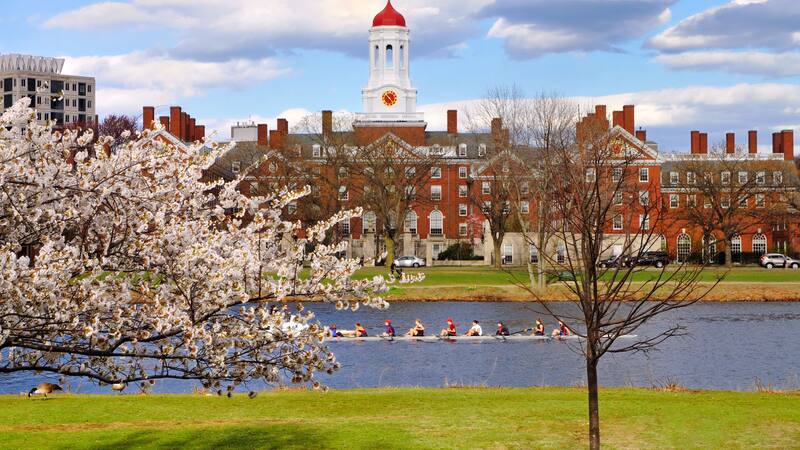 En el reciente ranking, dos países lideran con varias universidades en el Top 10.