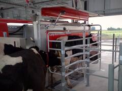 Cómo es el primer tambo robotizado y que no está conectado a la red eléctrica