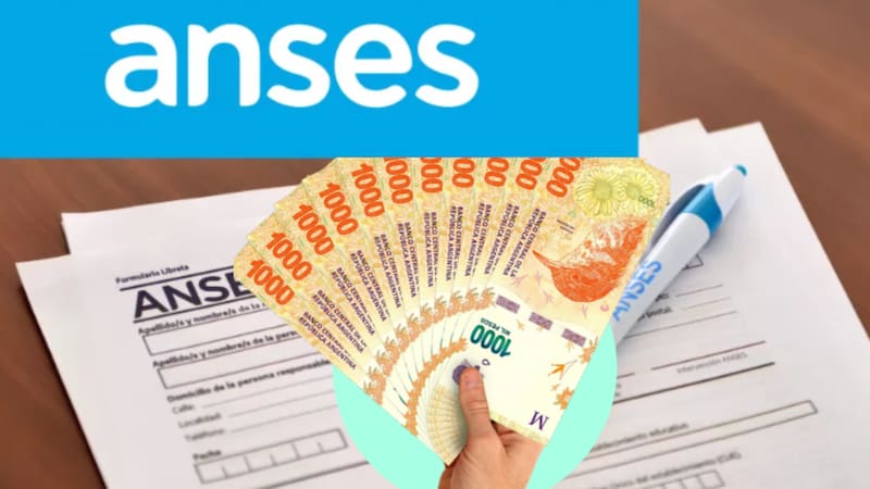 <div class="migrated-promo-image__description"><div class="migrated-promo-image__source">Fuente: ANSES/ Composición</div></div>