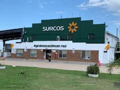 Surcos reinicia operaciones tras el fin del su embargo