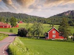 Viajar a Europa: una localidad de Suecia vende terrenos por 100 euros y sólo pone dos requisitos