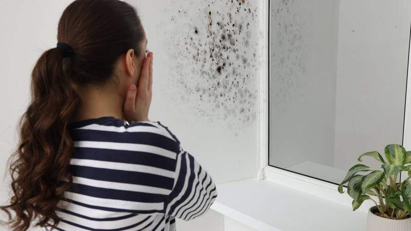 Estos trucos evitan utilizar productos nocivos para ambientes y personas (Fuente: archivo).