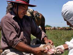 El Gobierno avanzó en una desregulación polémica para el campo