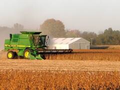 Por la sequía, la soja local registró la suba mensual más importante en una década