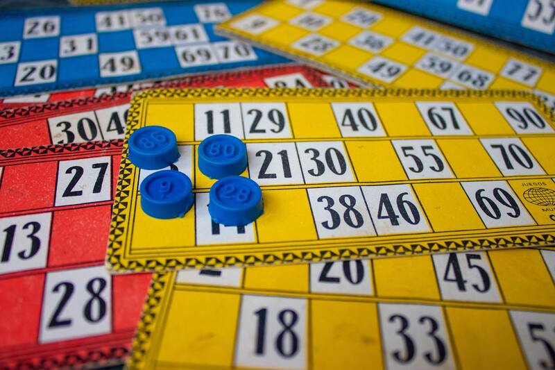 ¿Cómo es el Gana Gato? (foto: Pixabay).