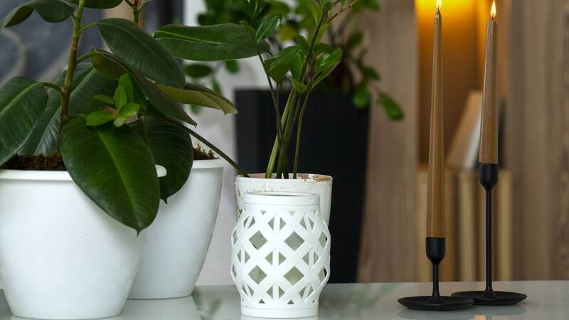 <div class="migrated-promo-image__description"><div class="migrated-promo-image__source">Fuente: Freepik</div></div>