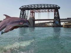 Los mejores memes de la cuarentena: comparan a Venecia con el Riachuelo y es viral