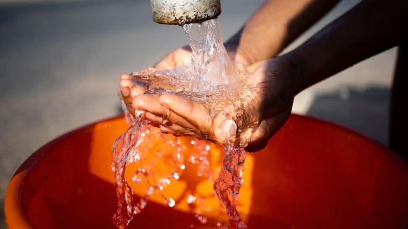 Los especialistas analizan cómo contrarrestar esta preocupante situación.