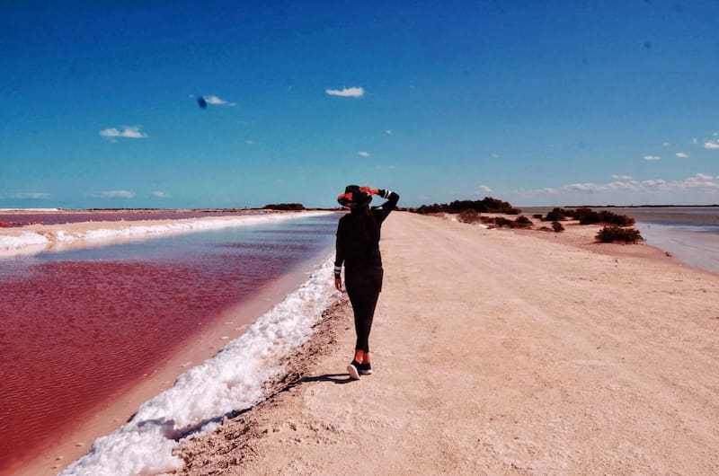 En las coloradas se ofrecen tres tipos de tours