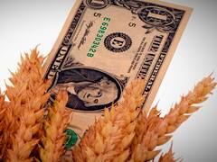 Los agrodólares custodian la salida en calma de fondos offshore