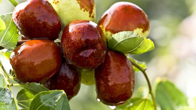 Ni higos, ni nueces: la fruta que ayuda a prevenir el Alzheimer y te da mucha energía