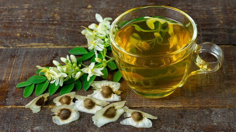 Conocé los beneficios de la moringa, una planta totalmente versátil y nutritiva.