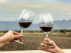 Día del vino, la bebida nacional: las 7 botellas más caras del país