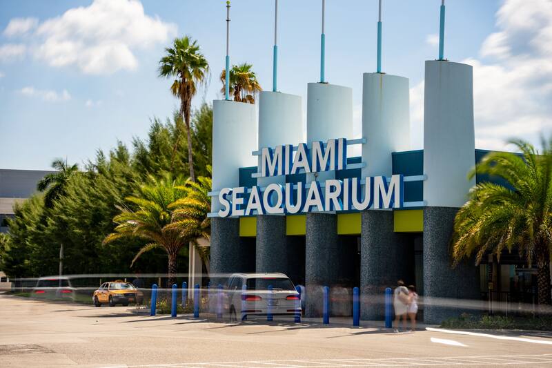 El Miami Seaquarium cerró sus puertas definitivamente el domingo 12 de octubre. Fuente: archivo.