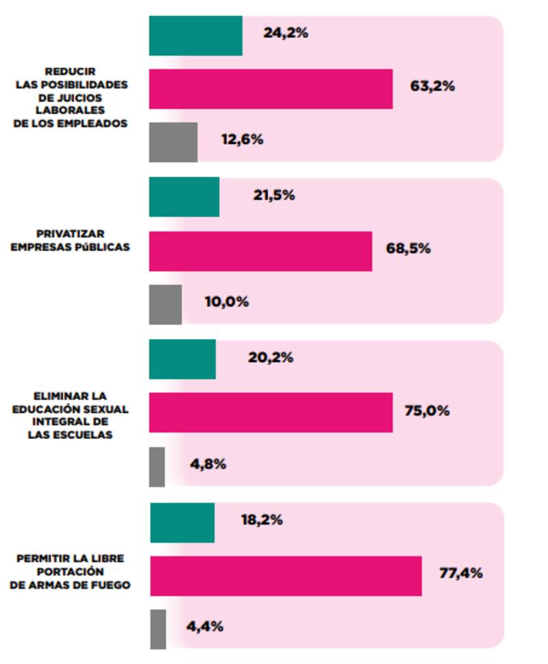 Las políticas de Javier Milei que más rechaza el electorado.