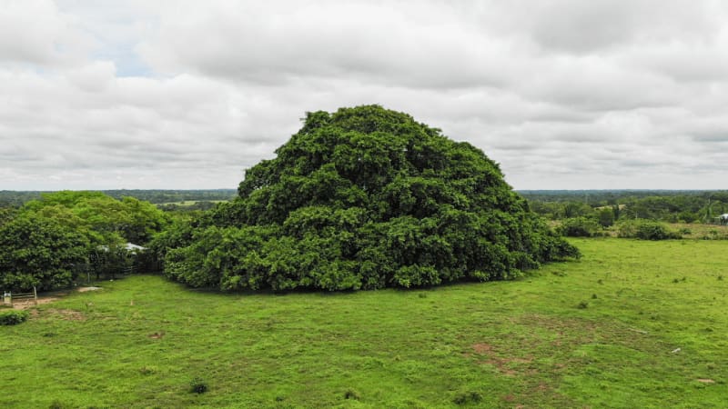<div class="migrated-promo-image__description"><div class="migrated-promo-image__source">Fuente: Canal Institucional TV</div></div>