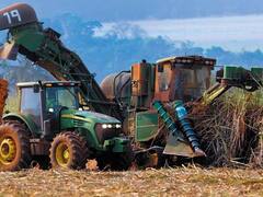 Brasil mete presión al mercado mundial del azúcar con un récord