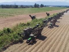 Gigante azucarero invierte u$s 28,5 millones para optimizar la cosecha ante la sequía