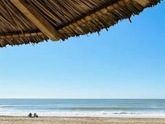 No es Pinamar: la playa que tiene un millón de pinos y está a 4 horas de Buenos Aires