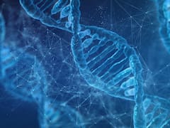 Científicos argentinos descubren cómo se podría detectar la depresión con un análisis de sangre, ¿cómo funciona?