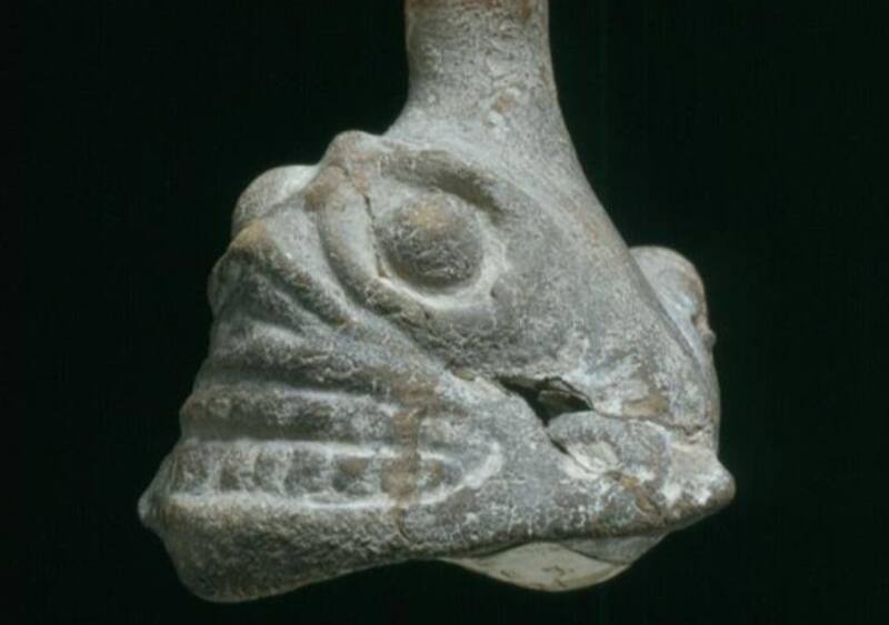 Una de las fotografías del elemento compartidas por la institución. Fuente: Universidad de Zúrich.