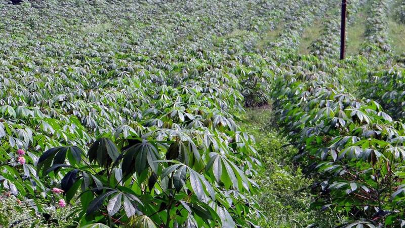 <div class="migrated-promo-image__description"><div class="migrated-promo-image__source">Fuente: vecteezy</div></div>