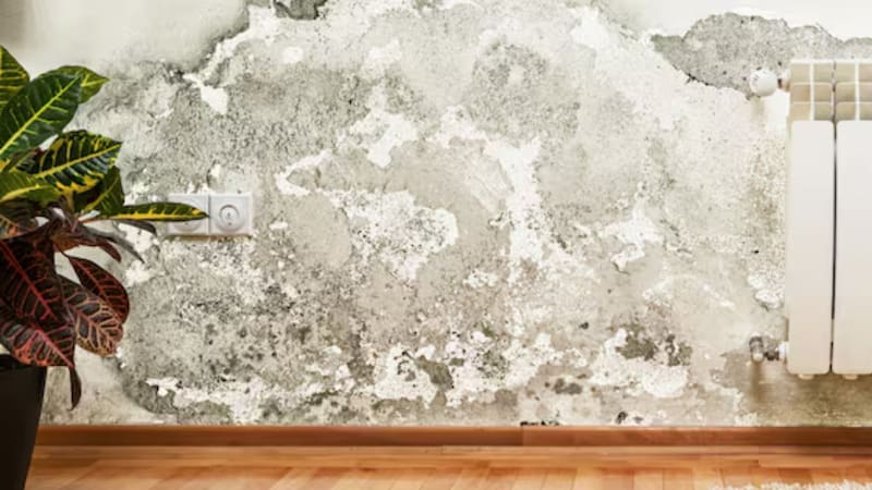 <div class="migrated-promo-image__description"><div class="migrated-promo-image__source">Fuente: archivo </div></div>