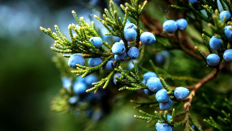 <div class="migrated-promo-image__description"><div class="migrated-promo-image__source">Fuente: ShutterStock</div></div>