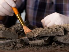 Descubren unos misteriosos collares en medio de España: "Fueron utilizados por.."