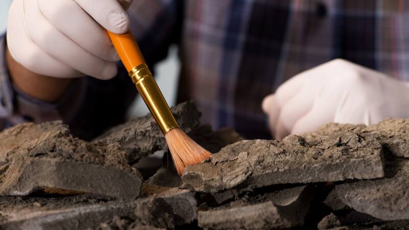 Descubren unos misteriosos collares en medio de España: "Fueron utilizados por.."