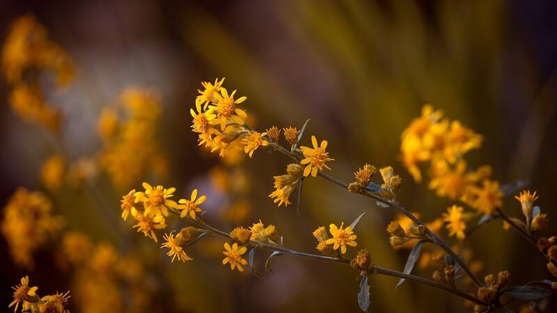 <div class="migrated-promo-image__description"><div class="migrated-promo-image__author">Pixabay</div></div>