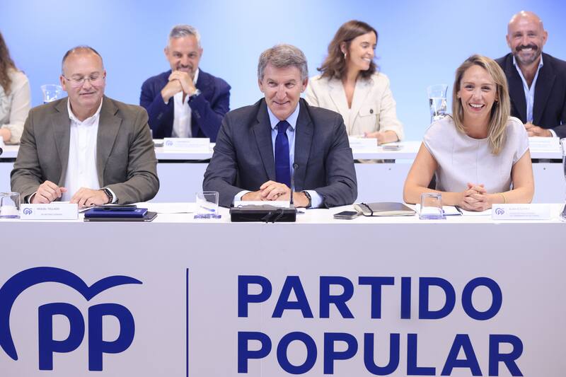 Ante el Comité Ejecutivo Nacional, Feijóo ha afirmado que busca que el PP esté preparado ante un posible adelanto electoral. (Fuente: EFE / Mariscal)
