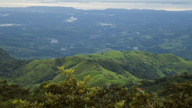 Este país Latinoamericano, con su impresionante biodiversidad y un sistema de áreas protegidas que cubre el 100% de su territorio terrestre, se posiciona como un referente en conservación de la naturaleza.