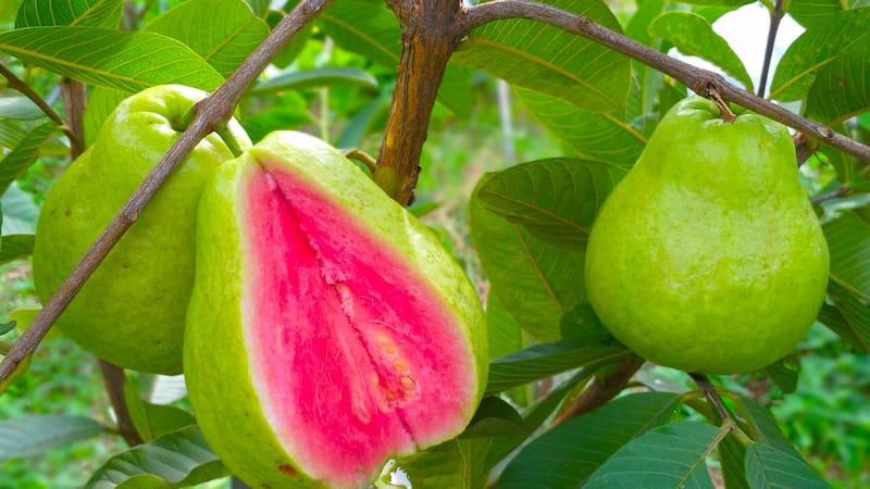 <div class="migrated-promo-image__description"><div class="migrated-promo-image__source">Fuente: Shutterstock</div></div>