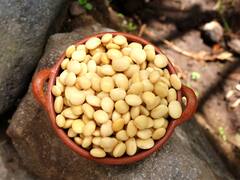 "El secreto de los Andes": el superalimento más completo de la naturaleza que regula el hierro en sangre y combate la anemia