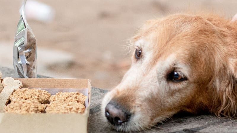 El 29 de septiembre se espera entre en vigencia.